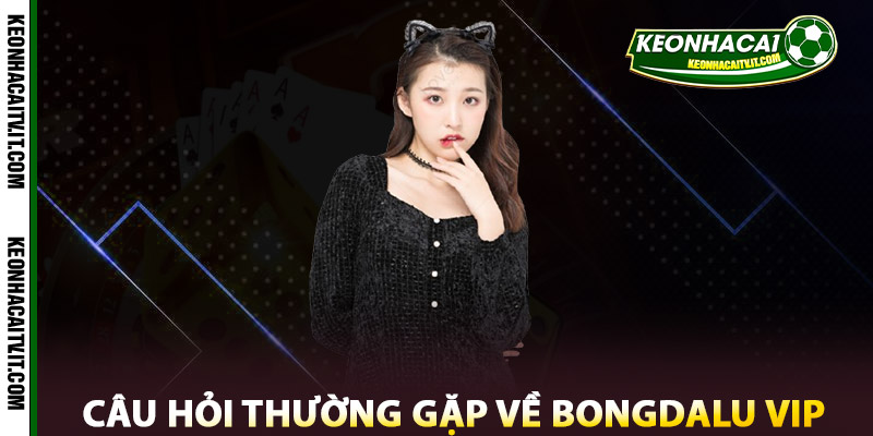 Câu hỏi thường gặp - Giải Đáp Bongdalu Vip Từ A Đến Z 1 Câu hỏi thường gặp về Bongdalu Vip