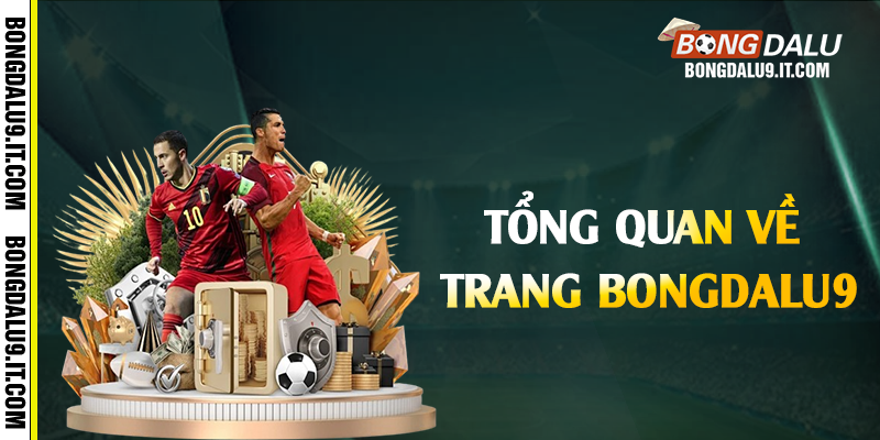 Tổng quan về trang Bongdalu9